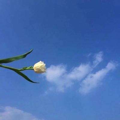 追求绝对收益与严控回撤 银华回报基金3月25日至31日开放