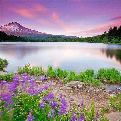 日本一反常规，转而聚焦石油以力挺日元汇率