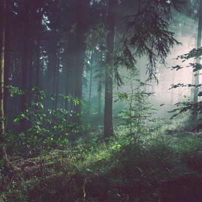 3月25日收盘：美股收跌科技股跌幅领先 油价重新上涨